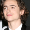 Timothée Chalamet's Musical Ability in the Next Wonka Film is Praised by Director Paul King