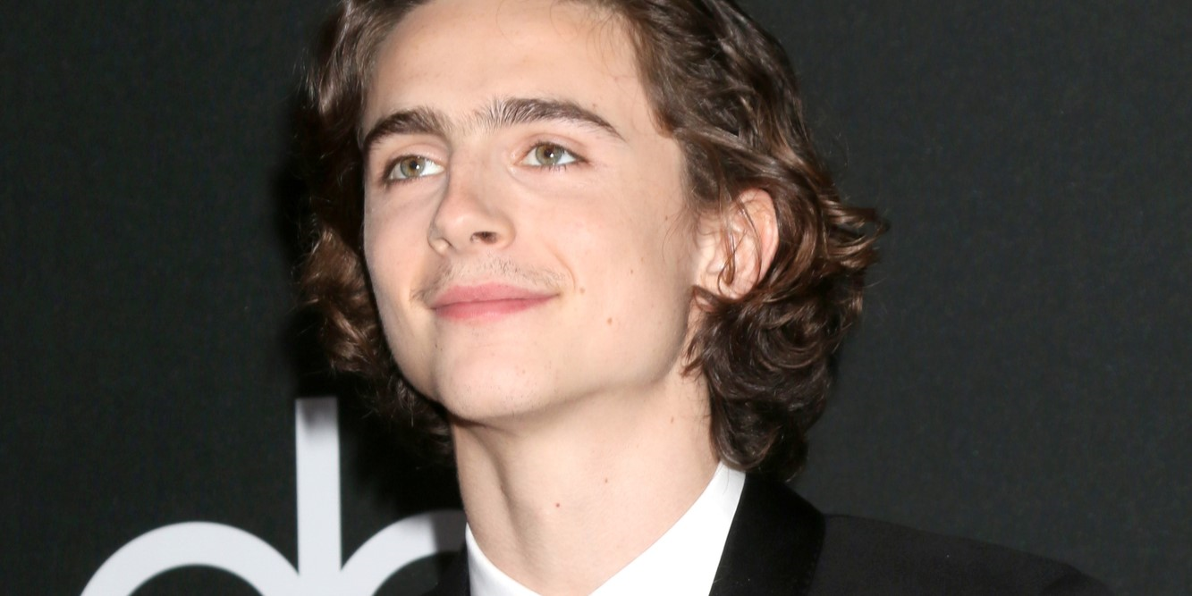 Timothée Chalamet's Musical Ability in the Next Wonka Film is Praised by Director Paul King