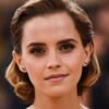 Updates on Emma Watson's Diverse Role Selections and Activism