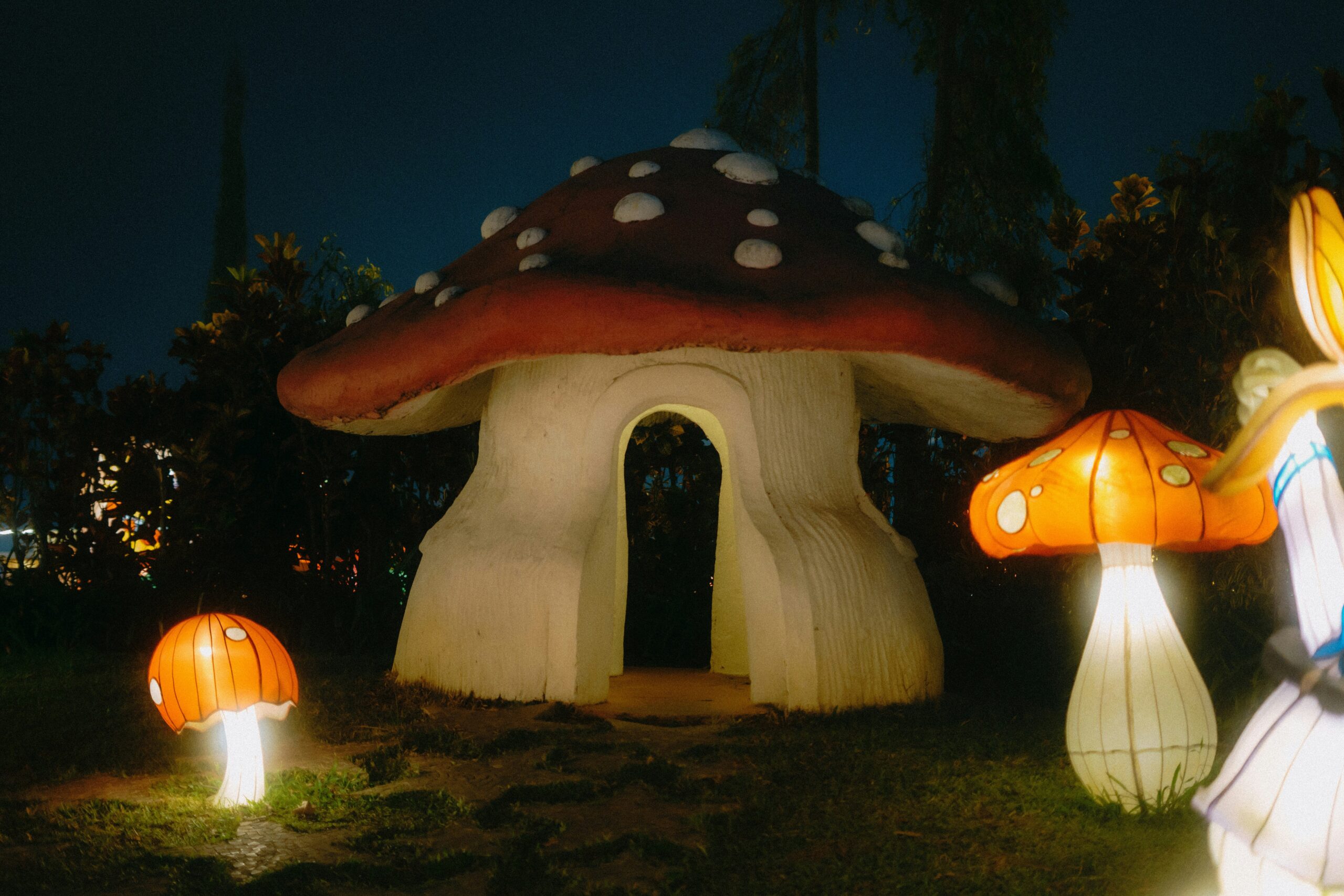 mushroom lamps